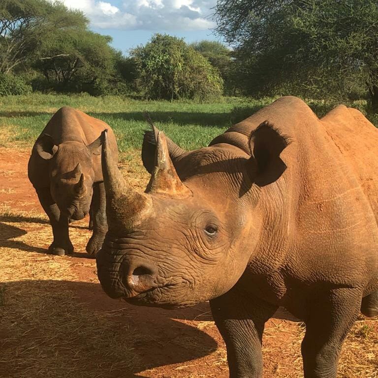 Mkomazi National Park-Gonja必去景点