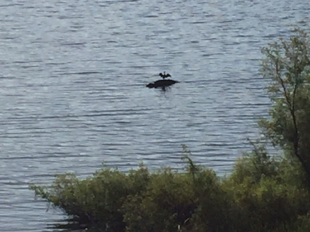 East Bay Regional Park District-奥克兰必去景点