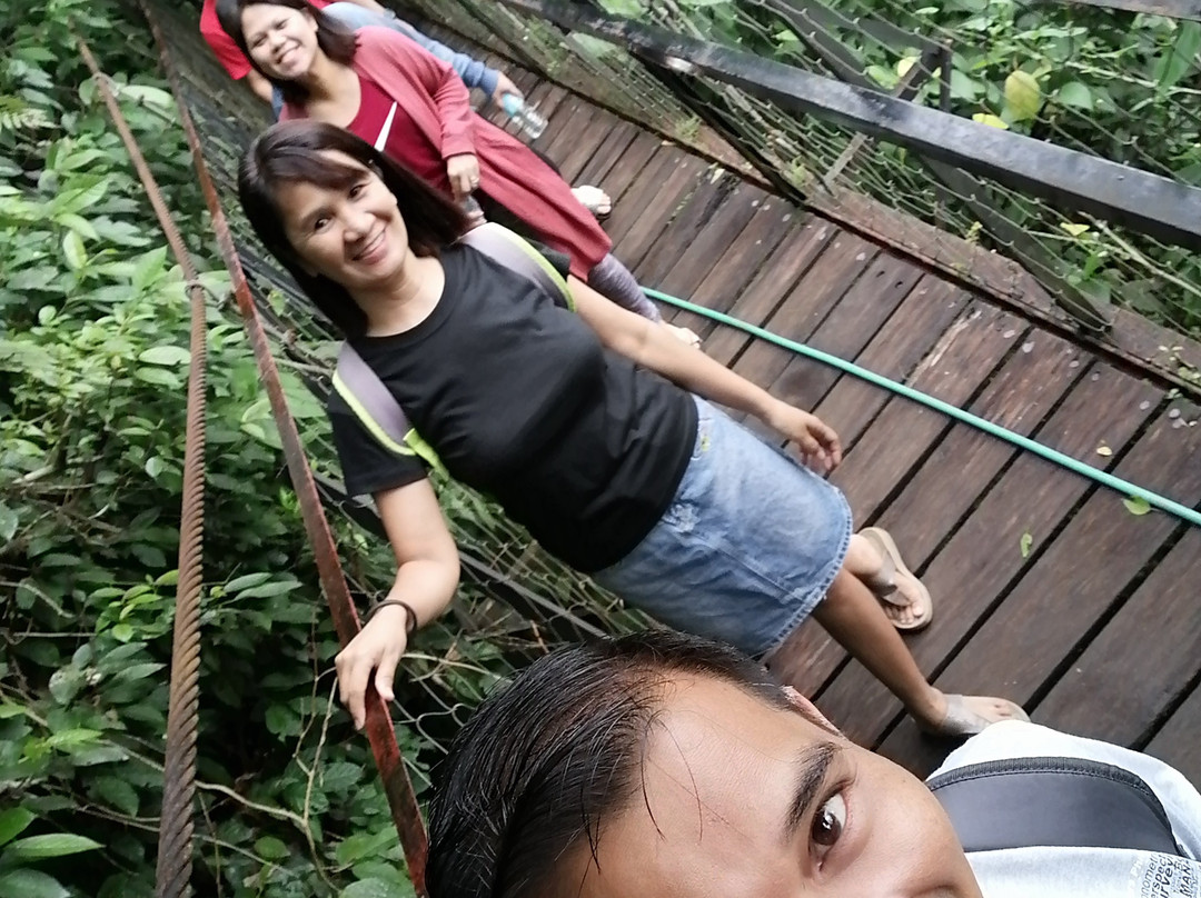 Aliwagwag Waterfalls-Cateel必去景点