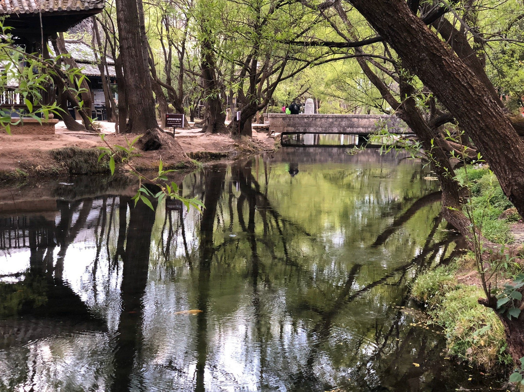 九鼎龙潭-丽江市必去景点