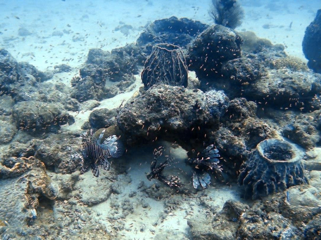 Reefers景点图片