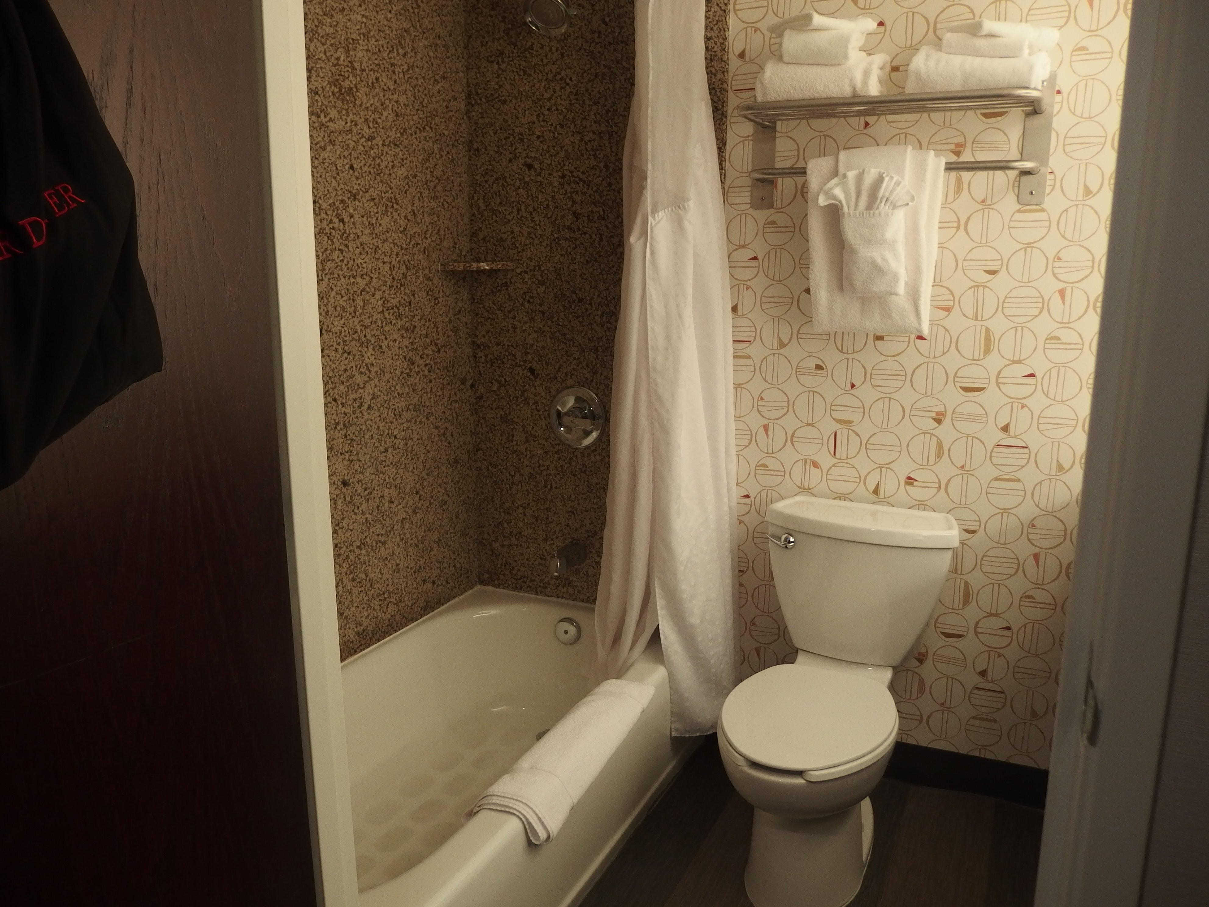 Holiday Inn & Suites Rochester - Marketplace-浴室