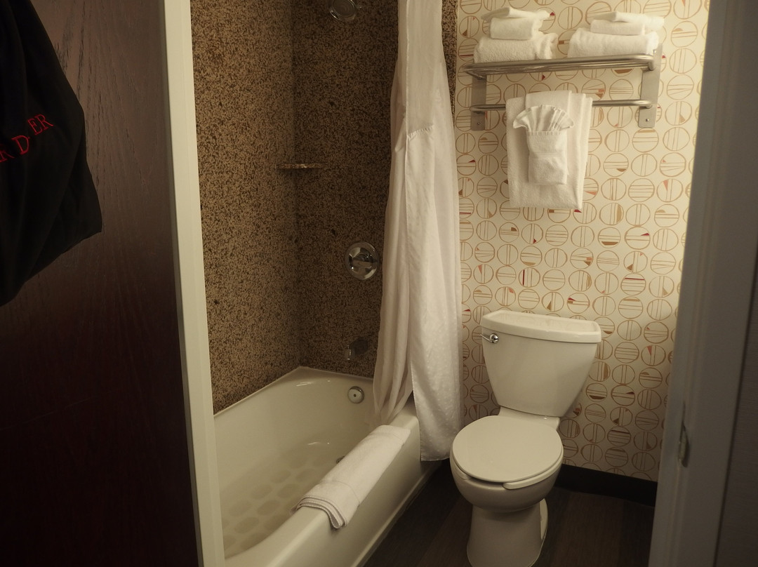 Holiday Inn & Suites Rochester - Marketplace主图