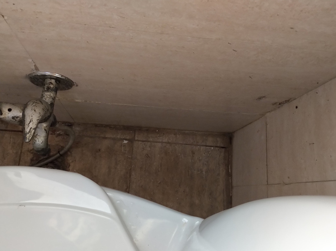 Hotel Hare Krishna Orchid主图