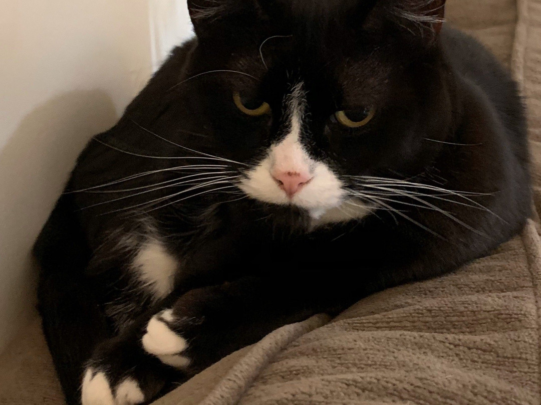 Self Realization Sevalight Centre for Pure Meditation Healing & Counselling主图