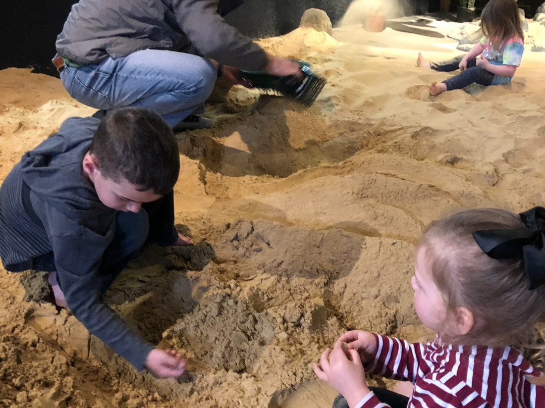 Dino Dig-Murfreesboro必去景点