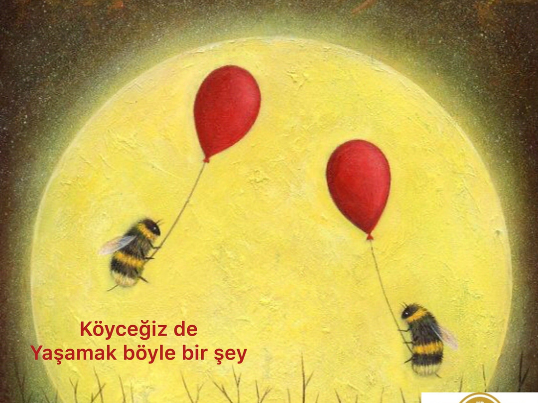 Koycegiz Bali景点图片