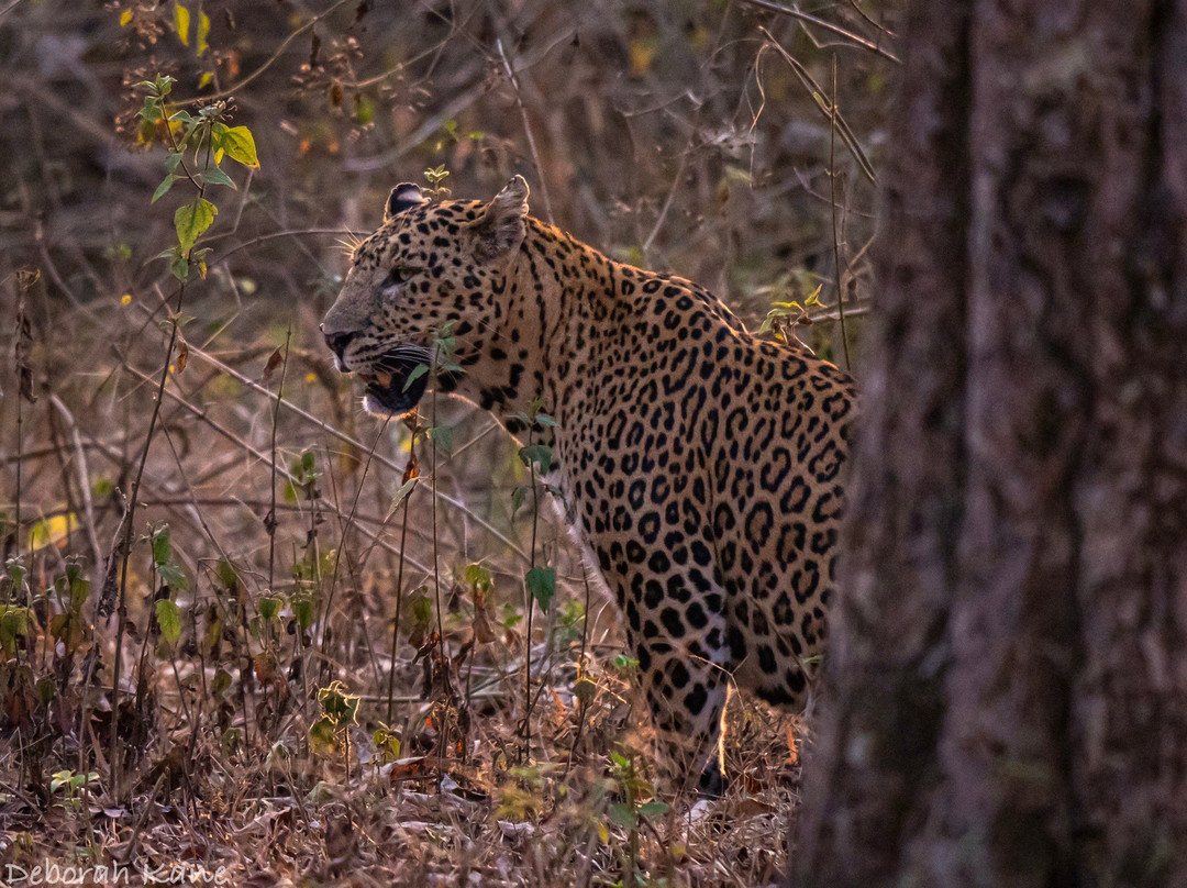 TripSthan-新德里必去景点