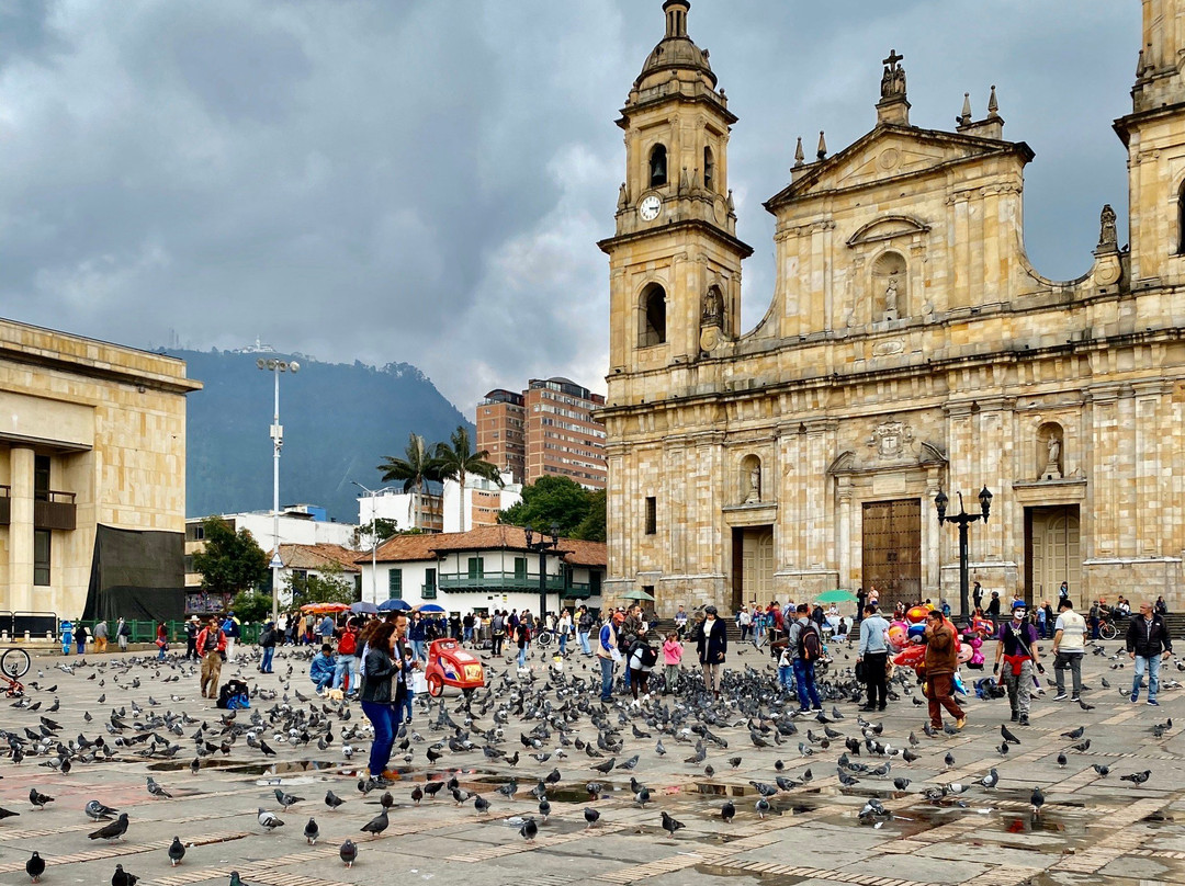 Plaza Simon Bolivar景点图片