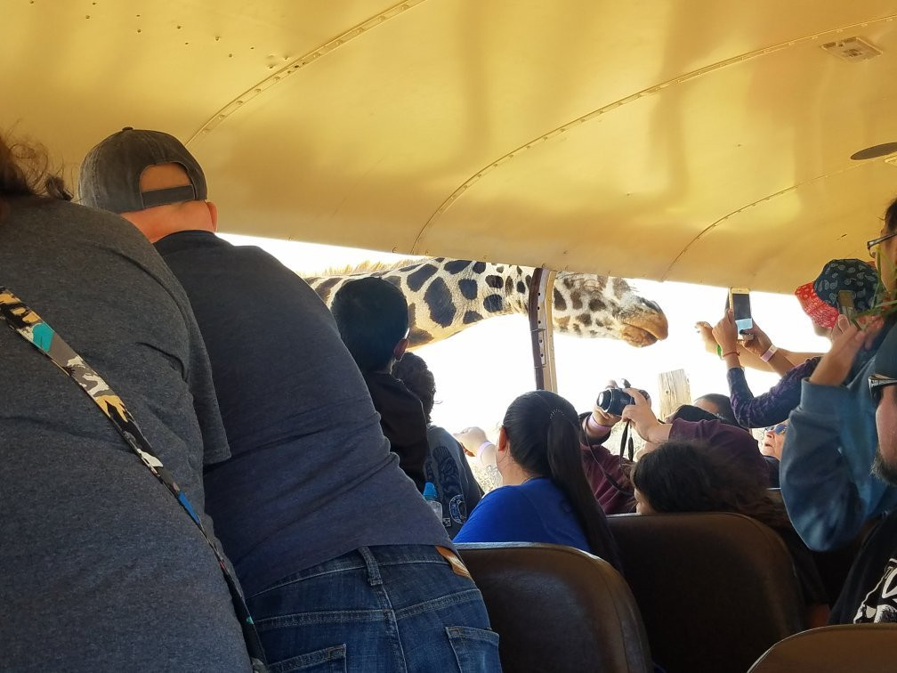 Out Of Africa Wildlife Park-Camp Verde必去景点