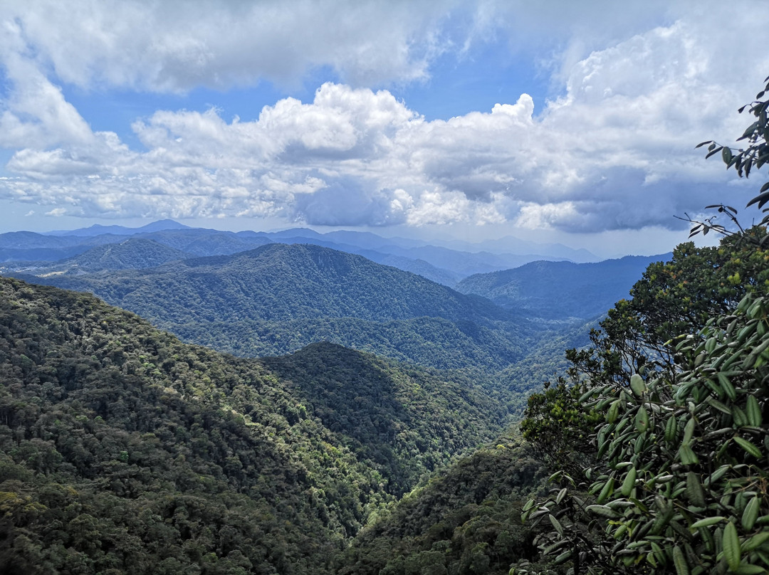 Gunung Brinchang景点图片
