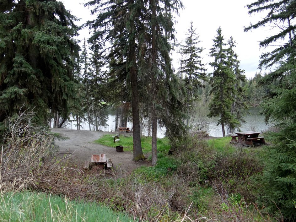 Bridge Lake Provincial Park景点图片