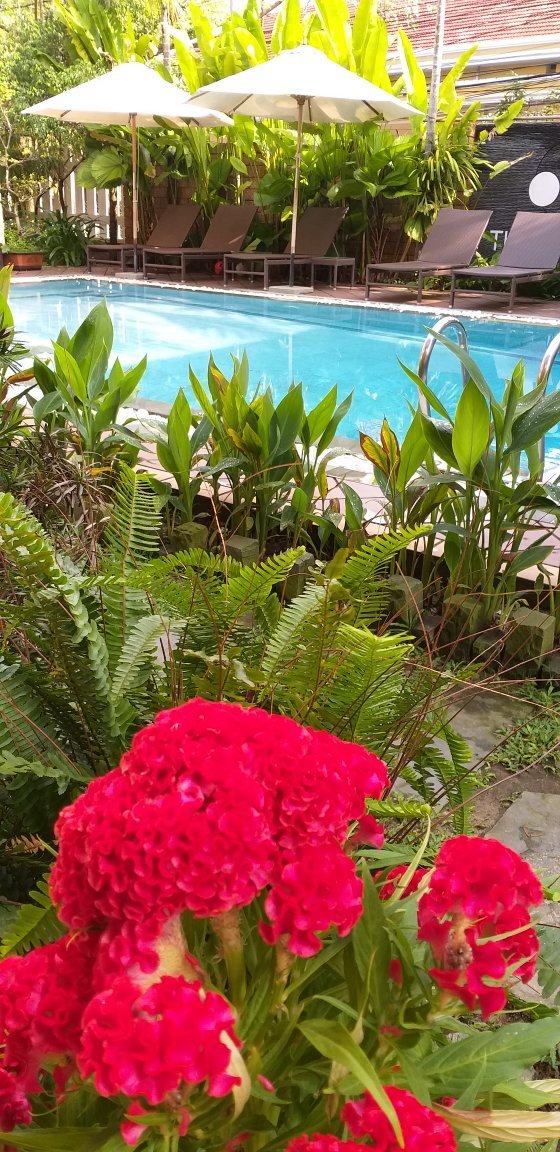 地球别墅酒店-官方