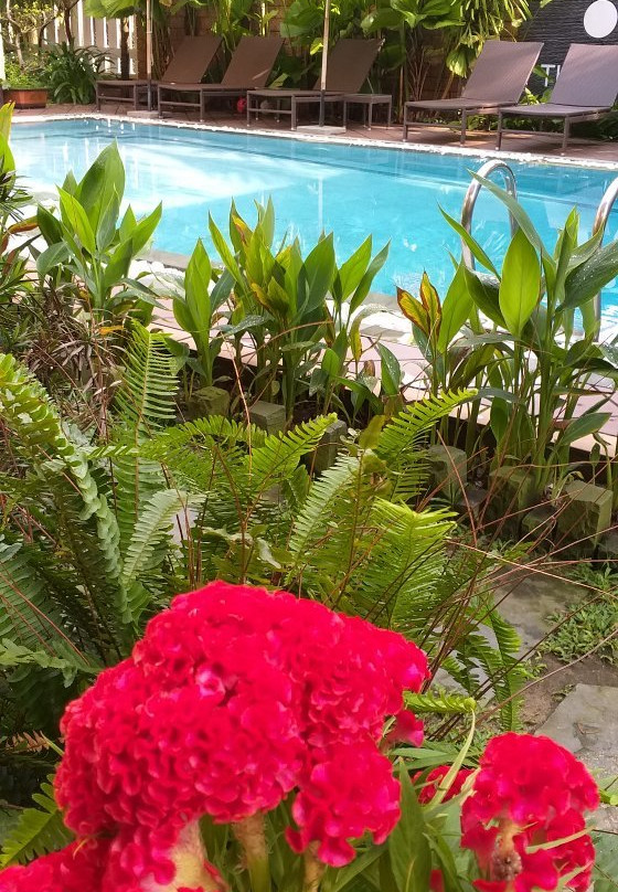 地球别墅酒店主图