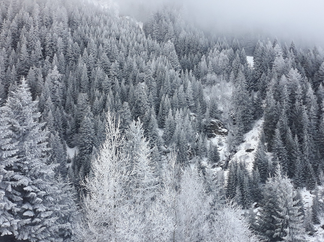 Les Chalets du Thabor Valfrejus主图