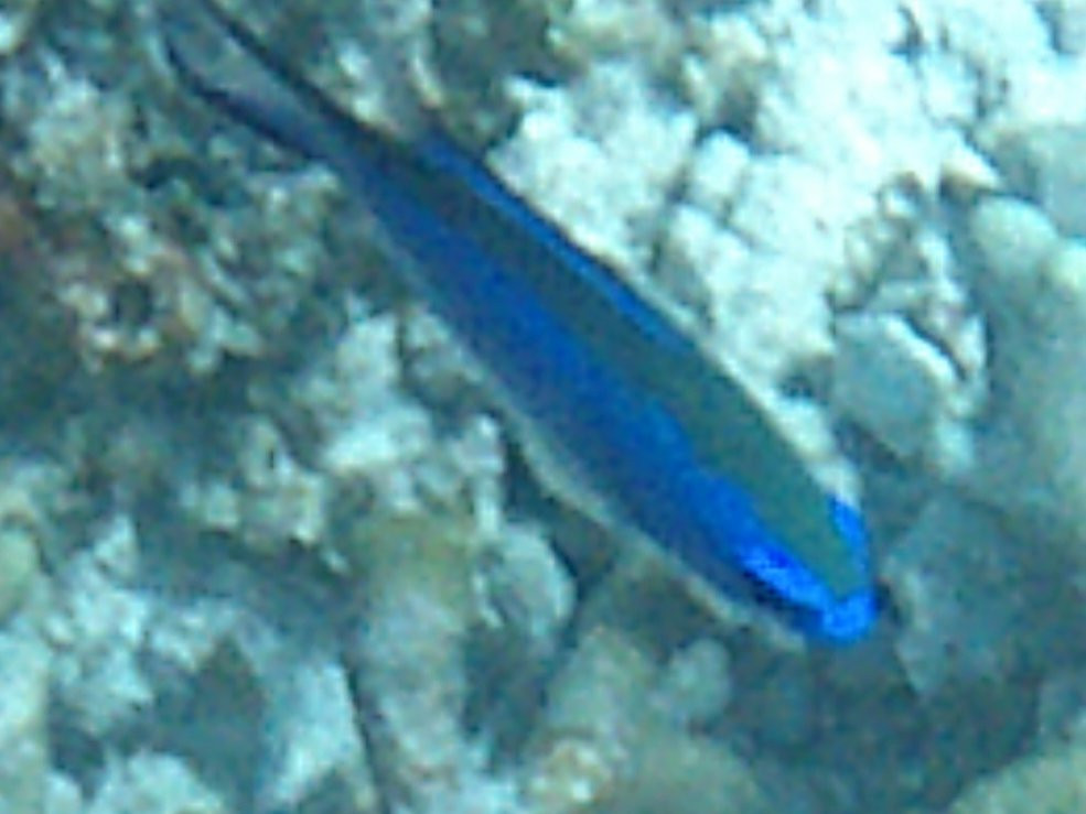 no longer available..................-Jolly Harbour必去景点