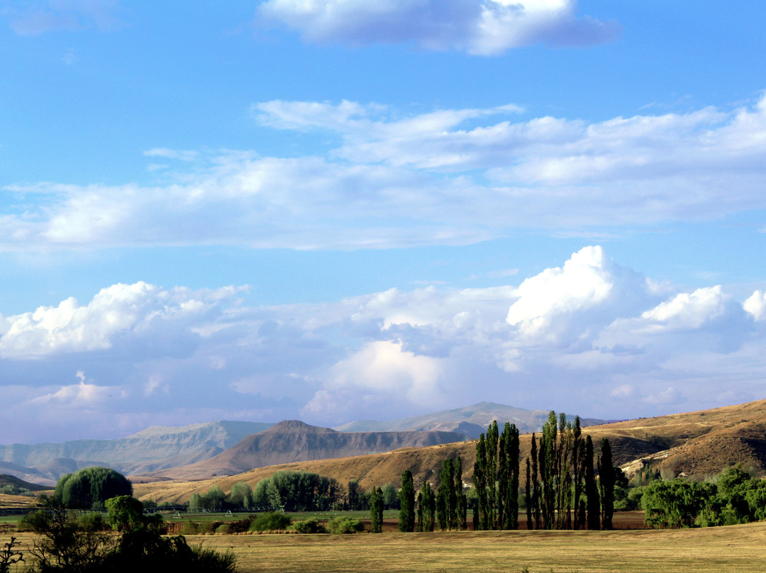 Branksome Country House主图