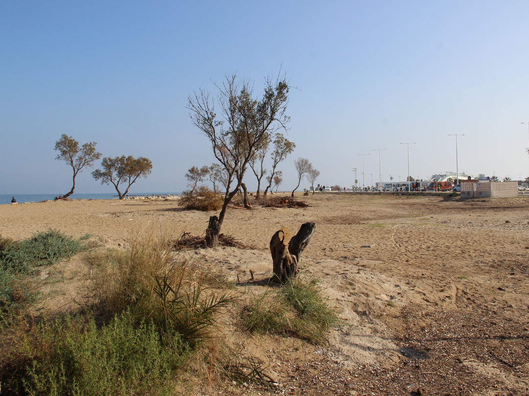 Platja Punta del Raset景点图片