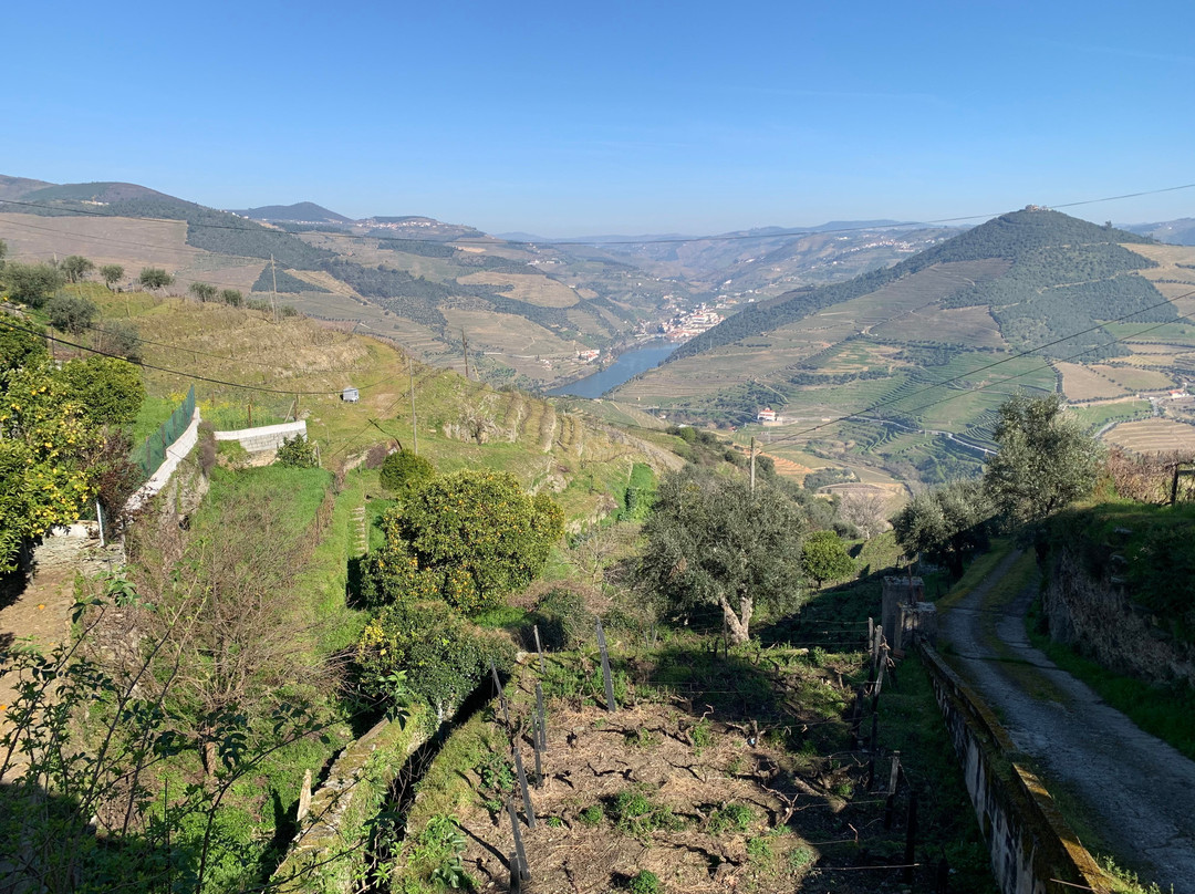 Hotel Douro inn主图