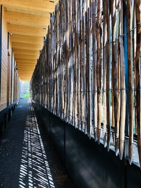 Musee de la Camargue-阿尔勒必去景点