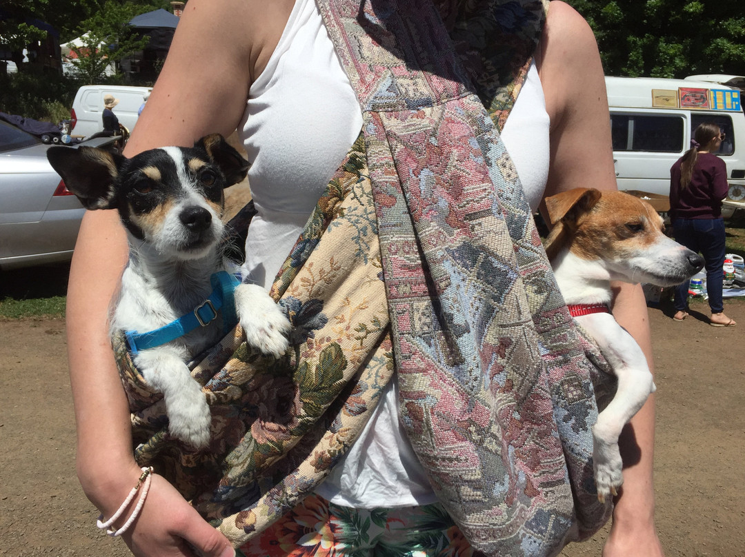 Daylesford Sunday Market-戴尔斯福特必去景点