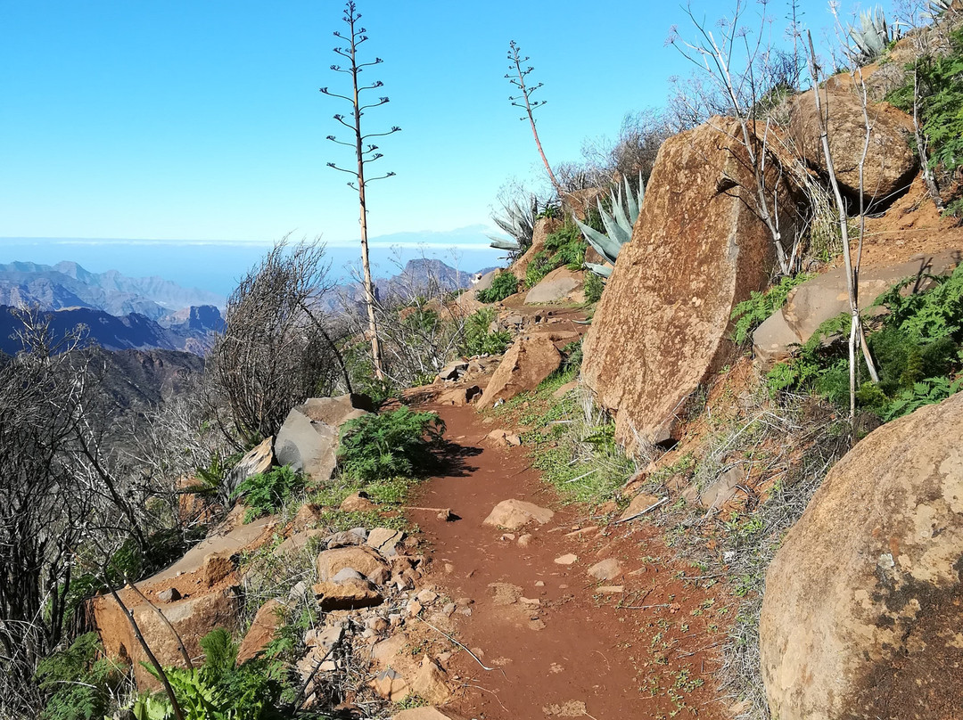 Roque Nublo-Tejeda必去景点