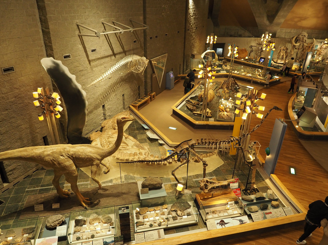 Gunma Natural Museum景点图片