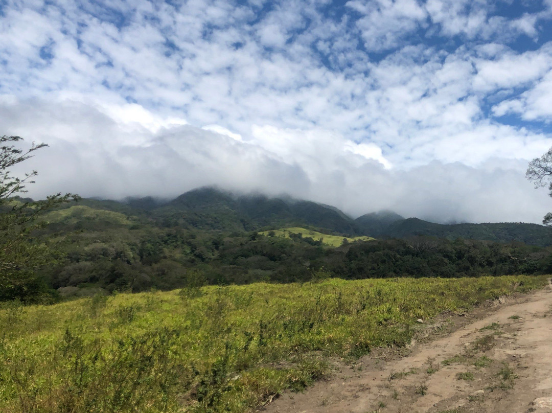 Marco tours-利比里亚必去景点