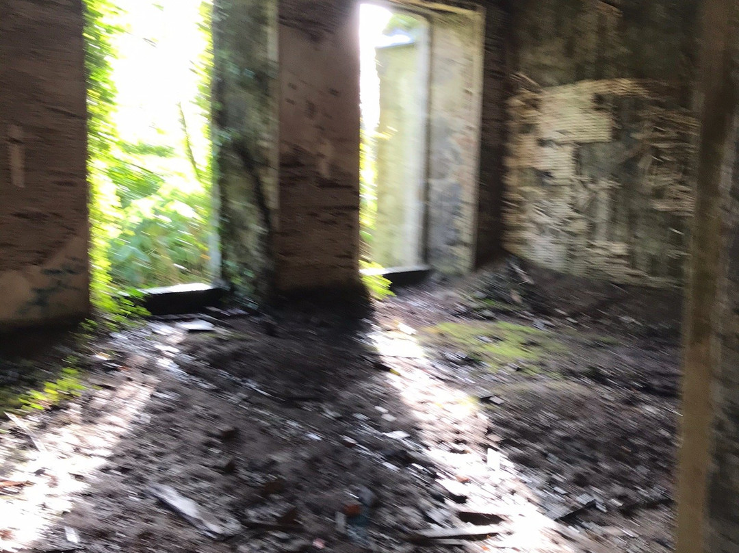 Buchanan Castle-斯特灵必去景点