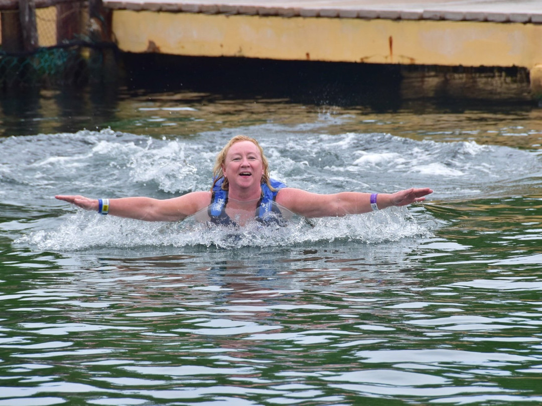 Delphinus Xel-Há-图伦必去景点