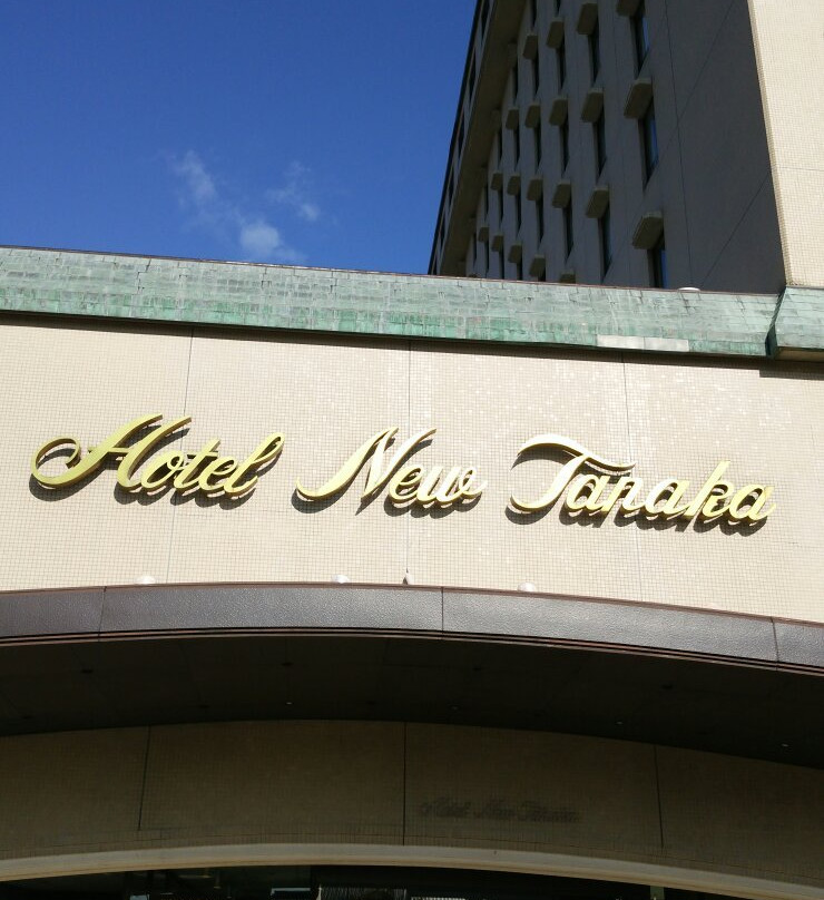 Hotel New Tanaka主图