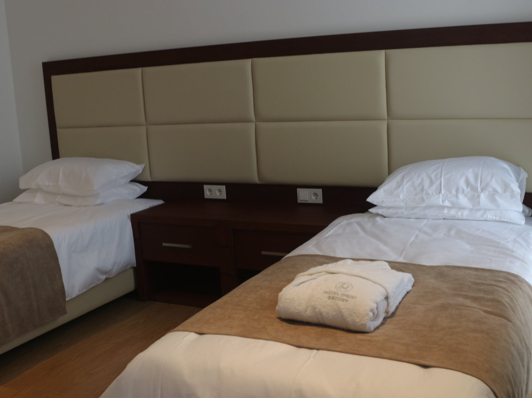 Hotel Union Grozny主图