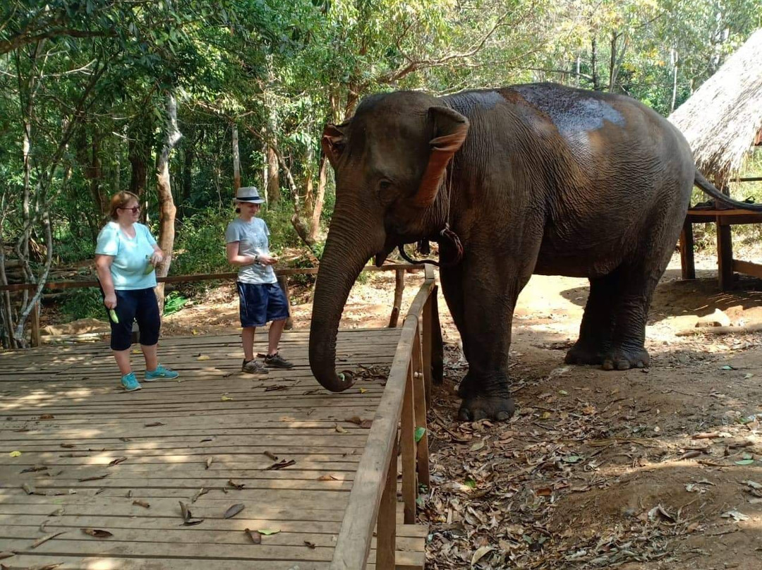 Mondulkiri Adventure Tour景点图片
