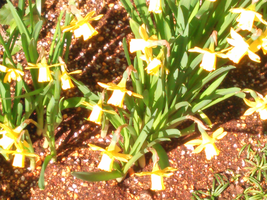 Kamakura City Kaburaki Kiyokata Memorial Art Museum-镰仓市必去景点