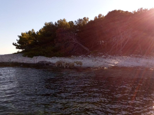 Garbin Boats-斯普利特必去景点