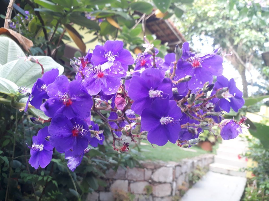 Cedros Pousada主图