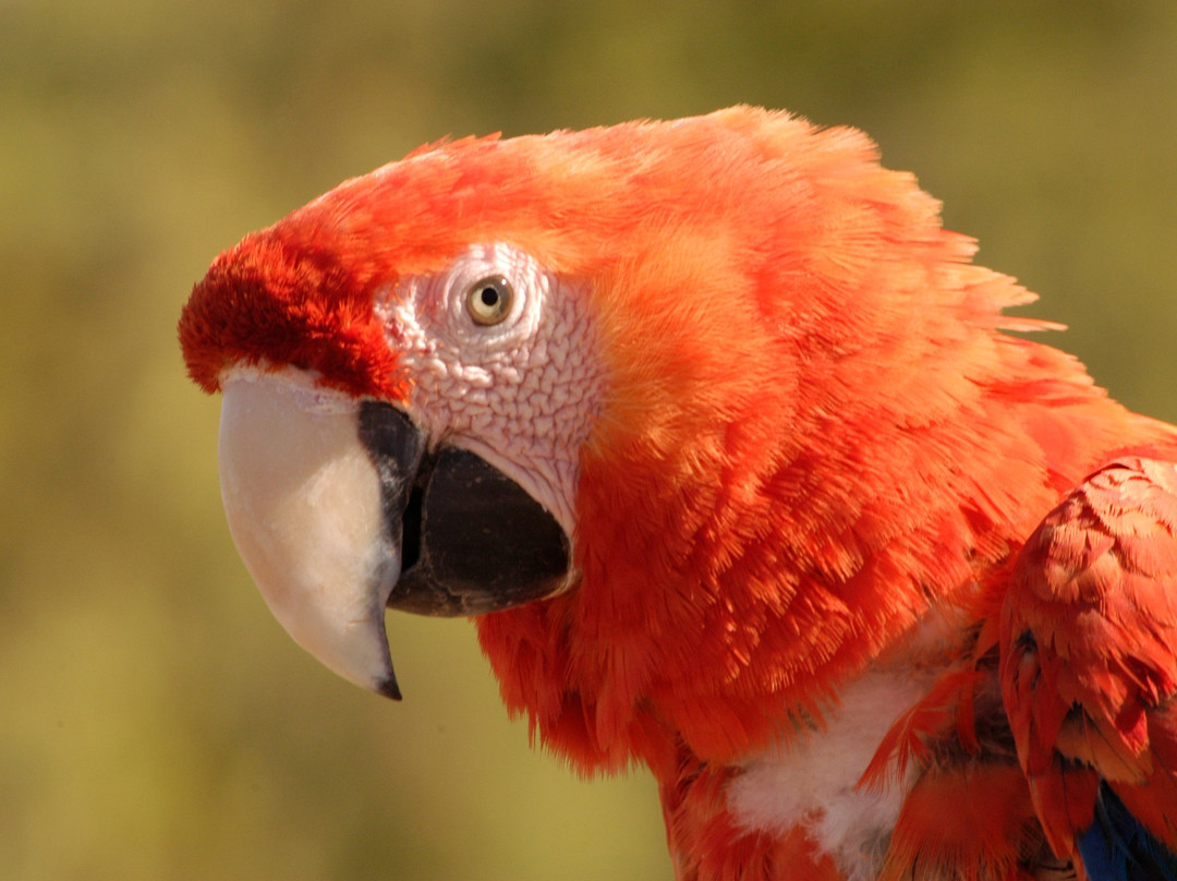 Bubalco-Allen必去景点