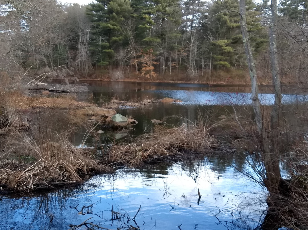 Mass Audubon Stony Brook Wildlife Sanctuary-Norfolk必去景点