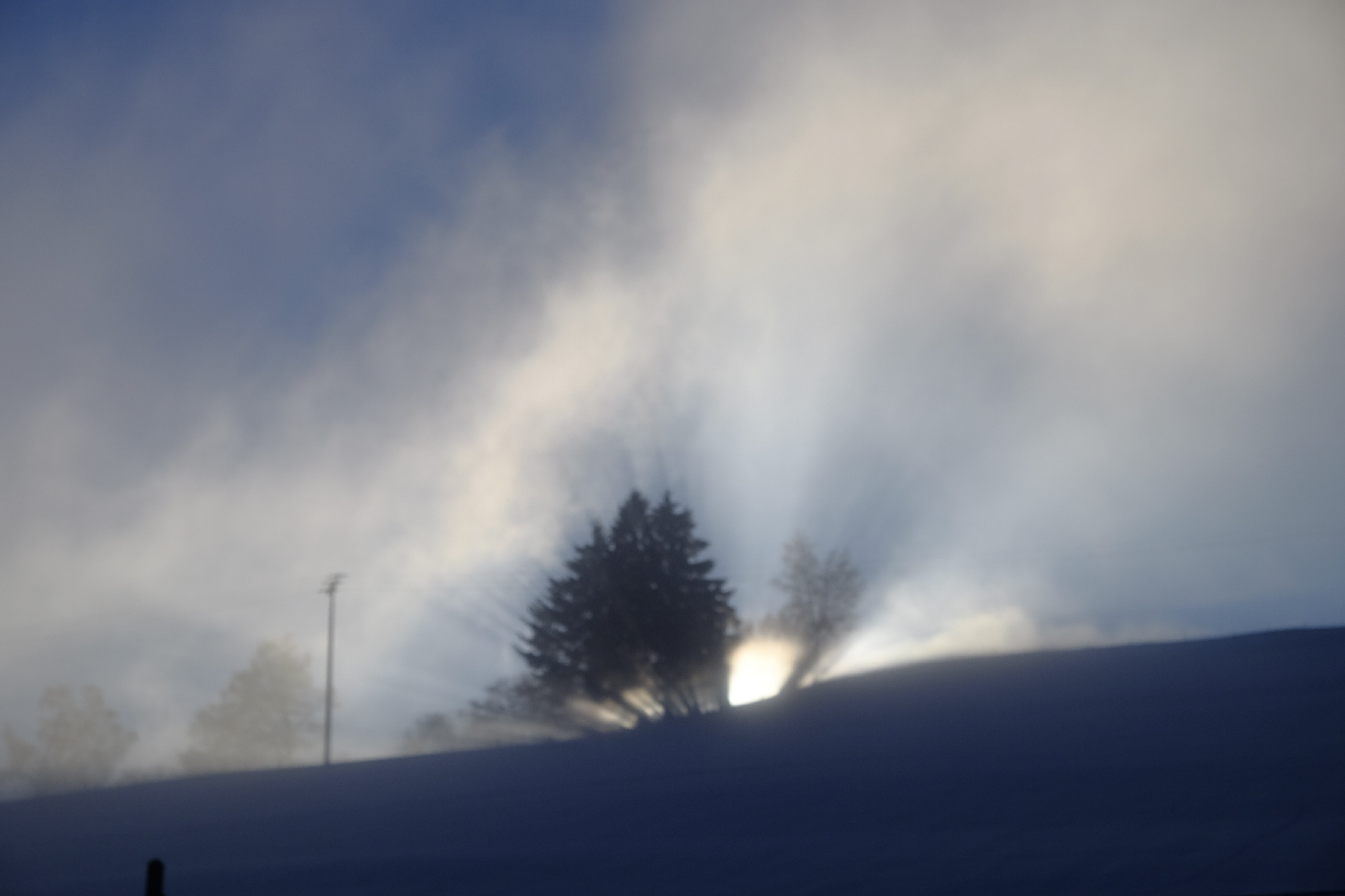 Natur- & Genießerhotel DER BIRKENHOF-餐饮