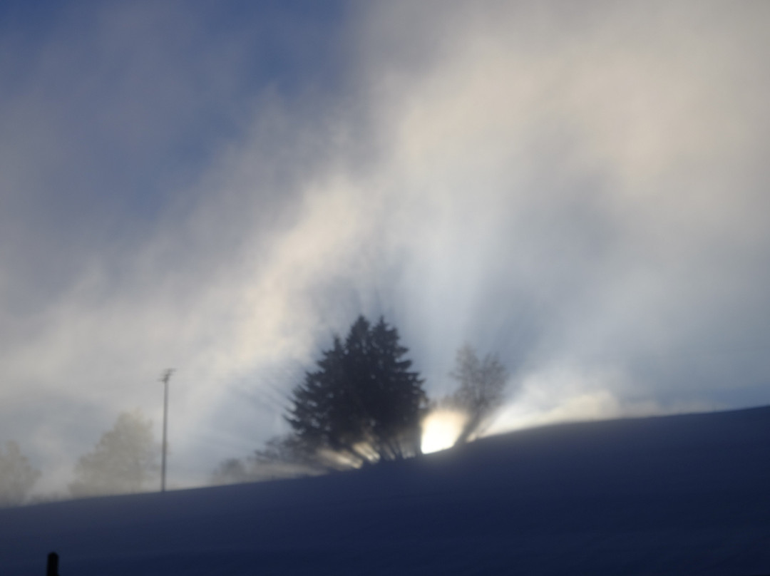 Natur- & Genießerhotel DER BIRKENHOF主图
