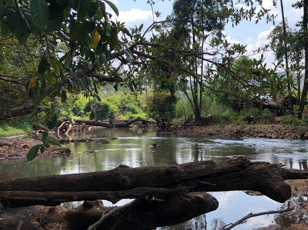 Mondulkiri Tour景点图片