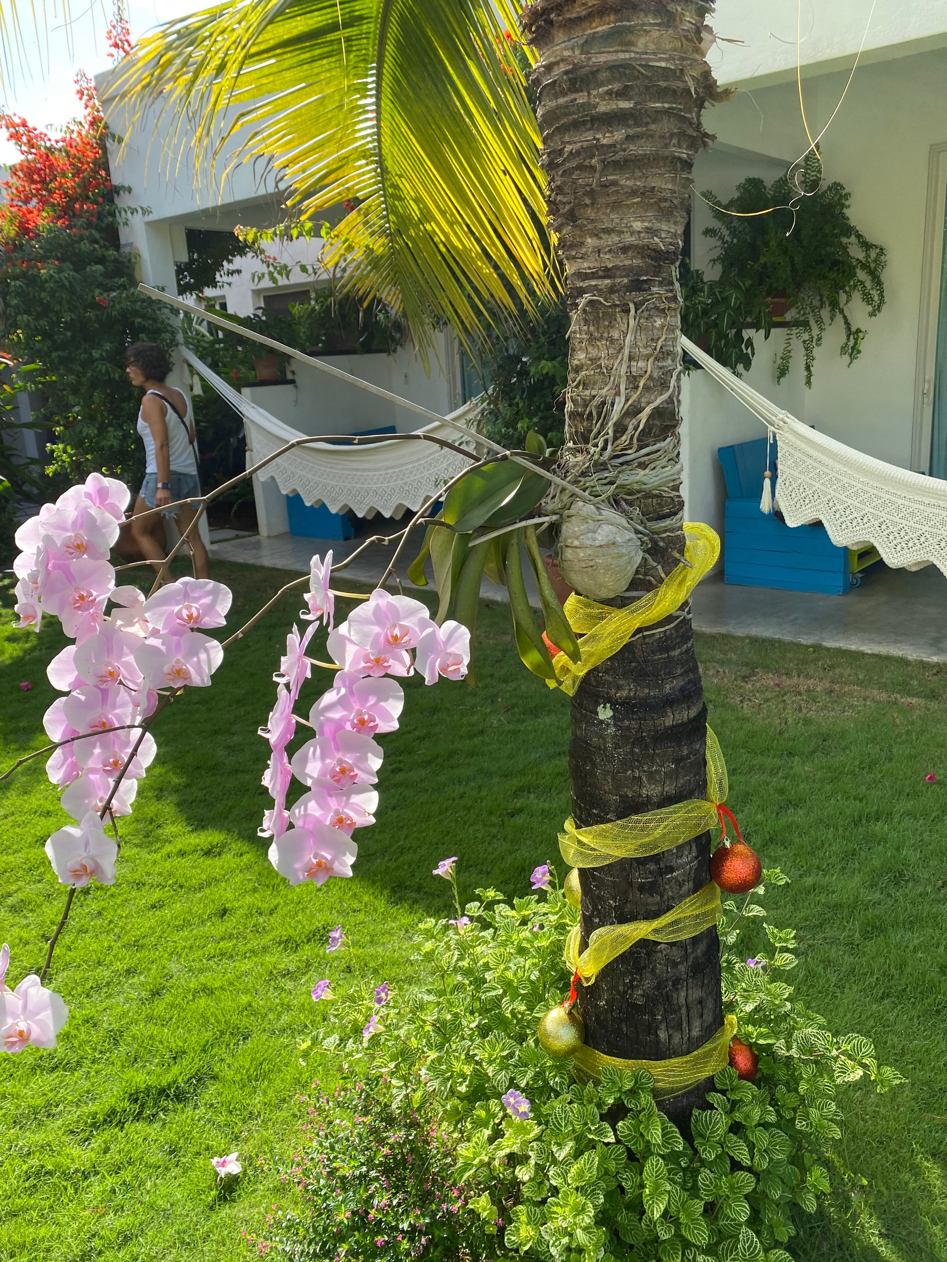 Arganama Guesthouse-泳池