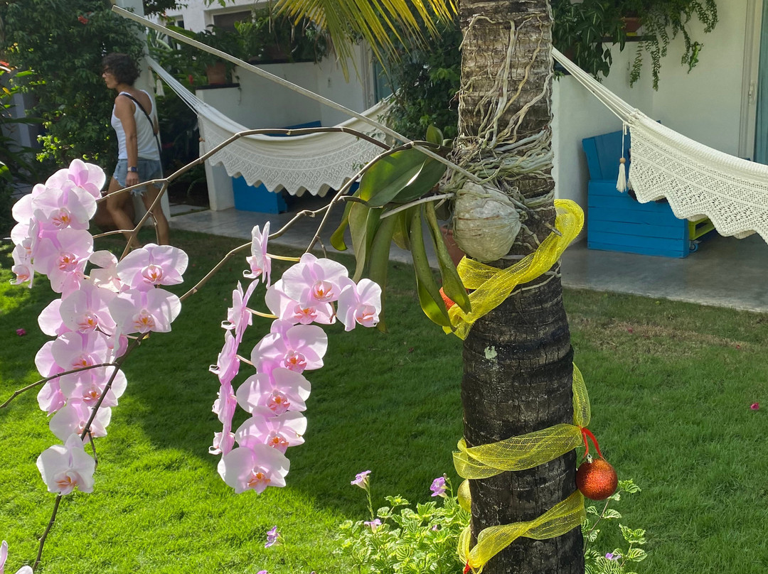 Arganama Guesthouse主图