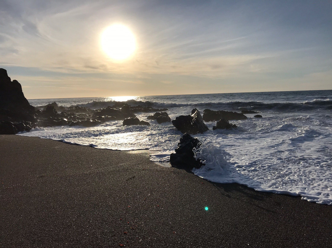 Shamel Park-坎布里亚必去景点