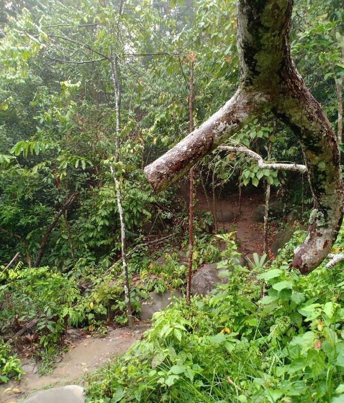 Bukit Mor-Parit Jawa必去景点