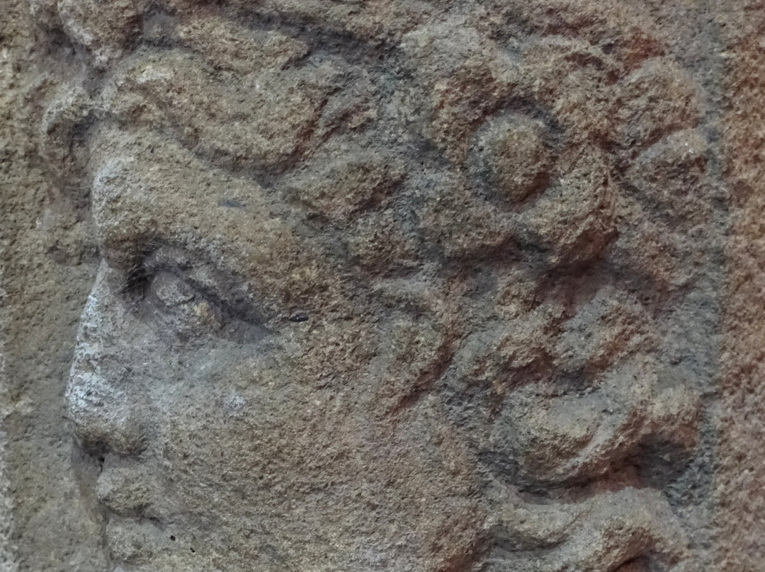Musee Bargoin景点图片