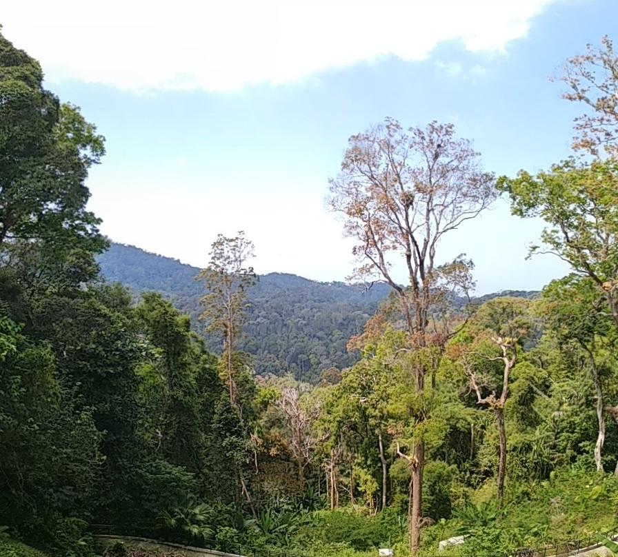 Masjid Bukit Bendera (Penang Hill Mosque)-槟城岛必去景点