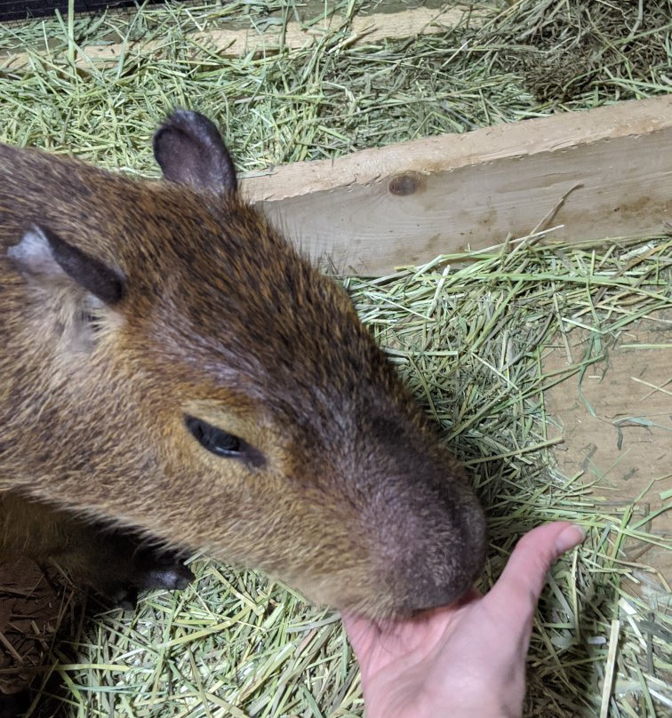 SeaQuest Trumbull-特兰伯尔必去景点