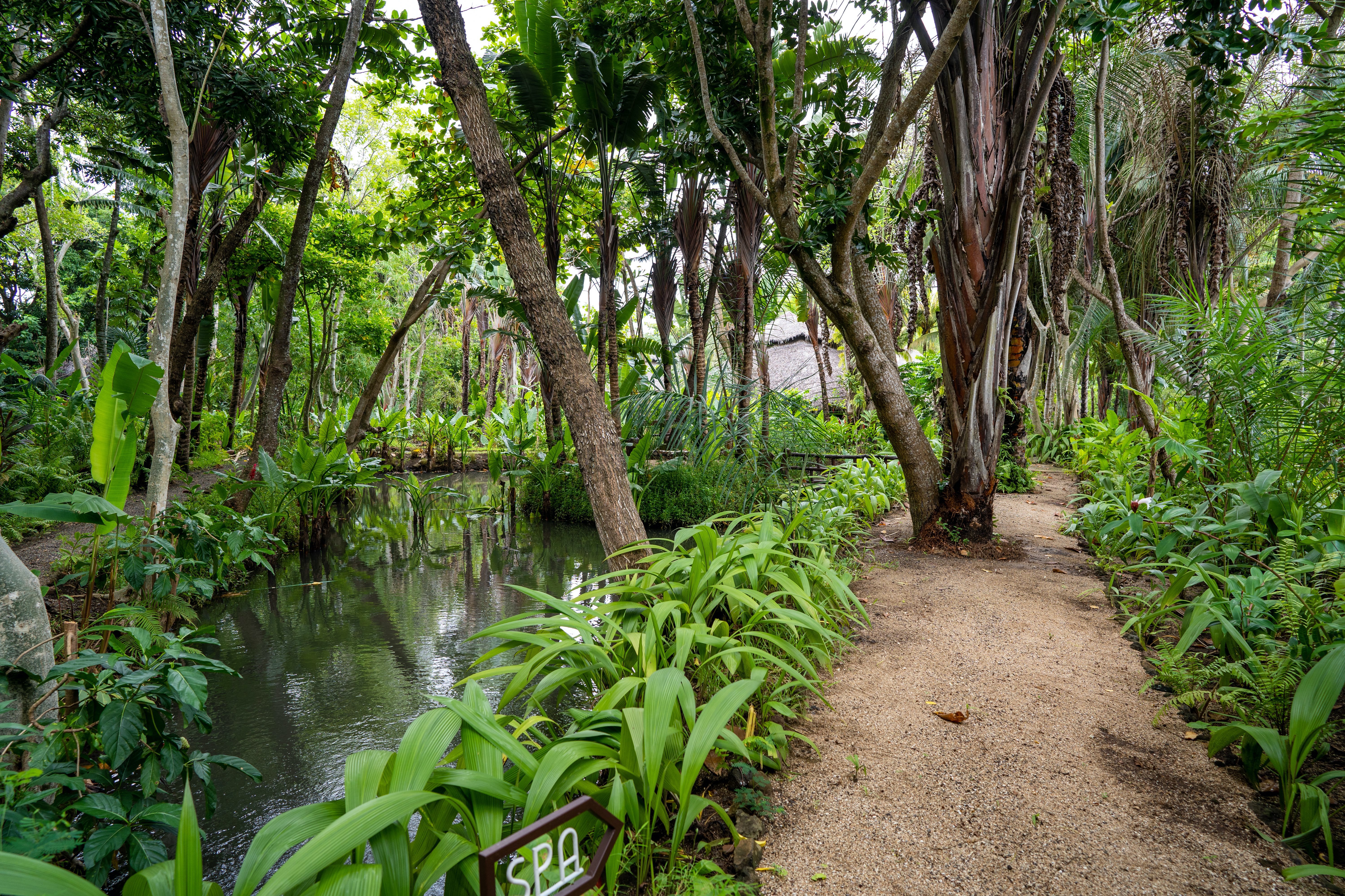 Ravintsara Wellness Hotel-浴室