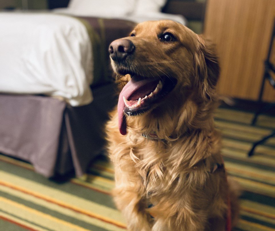 Super 8 by Wyndham St. Clairsville OH-Wheeling WV Area主图